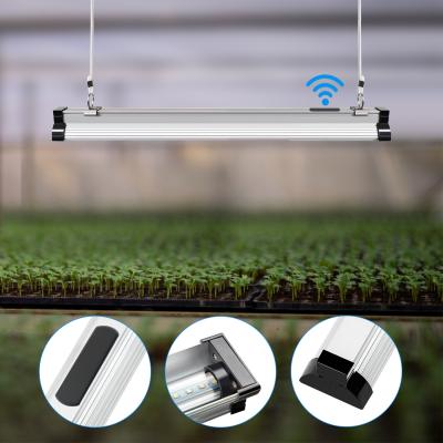 China El aluminio lleno LED elegante teledirigido de la lámpara del crecimiento del espectro de WIFI crece Bluetooth que crece ligero para la planta interior en venta