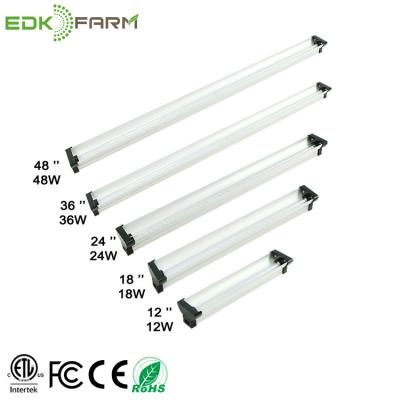 Cina T5 luci progressive complete 6500k di spettro LED in vendita