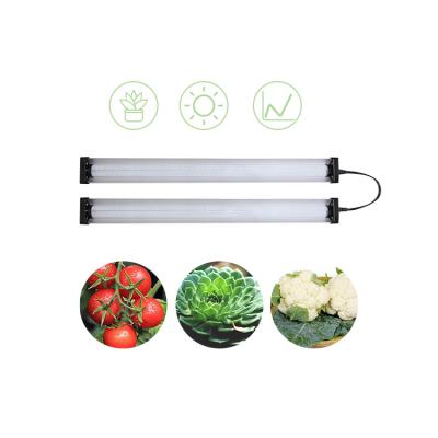 China CETL el 135lm/W más de alto rendimiento que el espectro completo LED crece las luces para las plantas crecen la tienda en venta