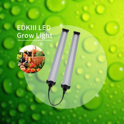 China Sustainable Cultivation 6000K Full Spectrum LED Grow Lights For Vegetable Seedlings for sale