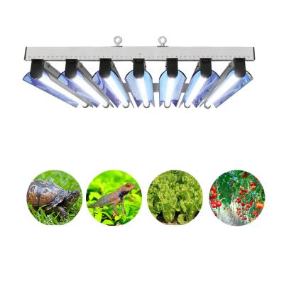 China Fluorescente 3FT T5 groeien Licht Te koop