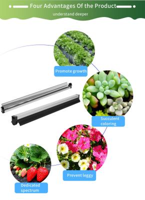 Chine Culture hydroponique pliable de 1.8μMol/J 8W menée pour élever des lumières pour les jeunes plantes végétales à vendre