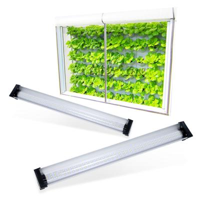 Cina Piccola 24W serra piena a calore ridotto portatile delle luci progressive di spettro LED dell'interno in vendita