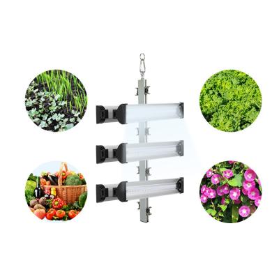 China High Lumen Led Grow Lights For Houseplants Horticultural LED Hydroponics And Indoor Plants for sale