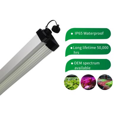 China Ip65 la prenda impermeable LED crece ligera en venta