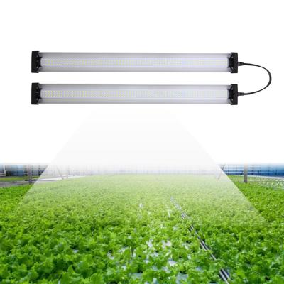 China 380-780nm 4ft Full Spectrum LED Grow Lights Ce Vertical Farming for sale