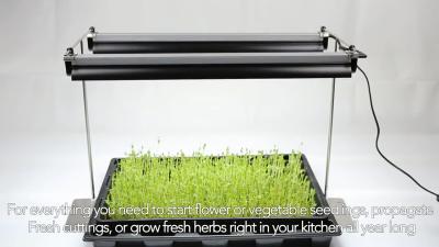 China High Brightness ETL 50000H Tabletop Grow Lights For Vegetable Seedlings for sale