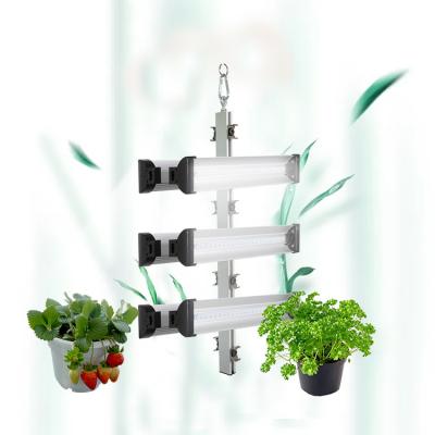 China Poder más elevado interior de la granja AC90-305V de Eco llevado para crecer las luces para Microgreens en venta