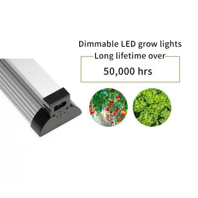 Cina Luci progressive principali 3ft ETL 12W del giardino dell'interno della luce di striscia di AC85~265V per la pianta in vendita