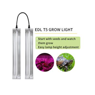 중국 파충류 LED 라이트가 방해합니다, T5가 조명 시설을 성장시킨 120V/220V는 칼슘 흡수를 장려합니다 판매용