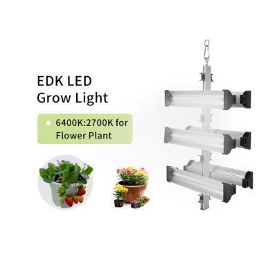 Chine D'intérieur d'AC265V menés élèvent la bande 120lm/W ETL Dimmable pour des légumes à vendre