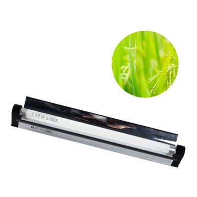 Cina luce progressiva fluorescente 1275lm di 17W T5 per germinazione dei semi di riscaldamento del rettile in vendita