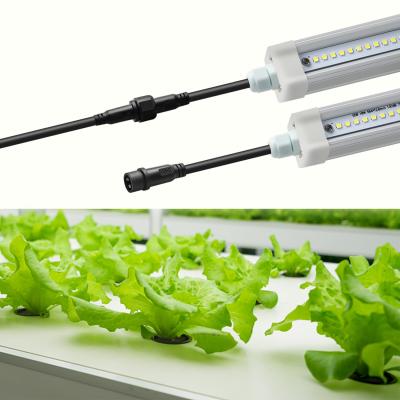 China La prenda impermeable LED del invernadero crece ligera para los sistemas verticales hidropónicos de Aquaponics en venta