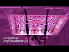 1000W LED Grow Light Full Spectrum For Indoor Plants