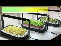 Indoor Microgreens Growing Kit Automated Full Spectrum LED Grow Lights With Seed Pads