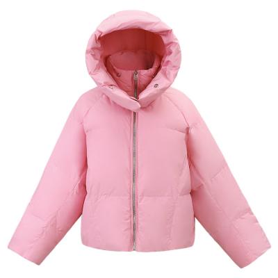 China Feng Feng Wang Ladies Breathable Women's Winter Style Hooded Short Designer Warm Down Jacket for sale