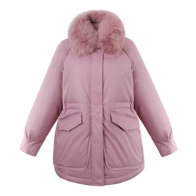 China Feng Feng Wang Women Long Section Breathable Warm Jacket Female Winter Fur Collar for sale