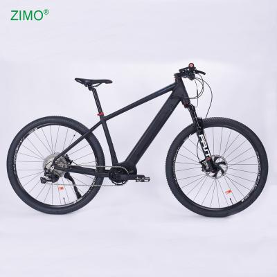 China 2021 New Electric Aluminum Alloy 250W Pedal Assist Mountain Bike On Sale for sale