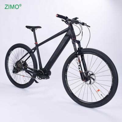 China 2021 Popular Alloy 36V Pedal Assist Mountain Aluminum E-Bike For Adult for sale