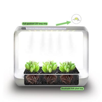 China Seed starting indoor ukiok nature ABS frame smart hydroponics growing system with LED plant grow light for sale