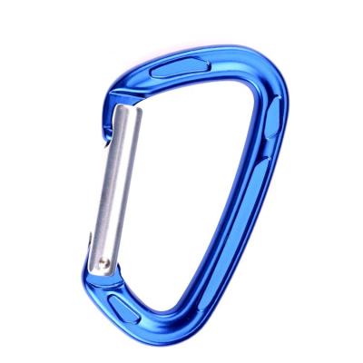 China Outdoor Climbing Activity Ailot 22KN Camping Hook Custom Shaped Aluminum Hammock Climbing Outdoor Carabiner for sale