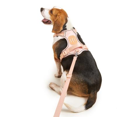 China Puppy Dog Carriers Dog Carriers And Personalized Soft Custom Colored Adjustable Leash Collars for sale