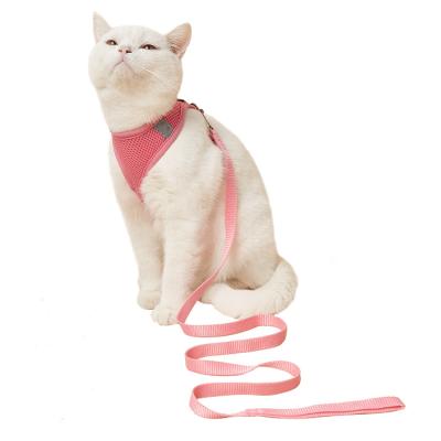 China Personalized Cat Dog Mesh Harness Walking Lead Leash For Puppy Collar Harness for sale