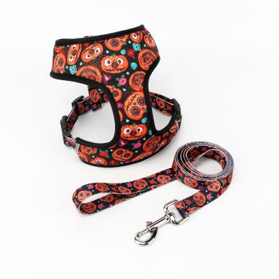 China Hot Selling Personalized Dog Collar and Leash Harness Set Custom Pull Proof Dog Cat Harness for sale