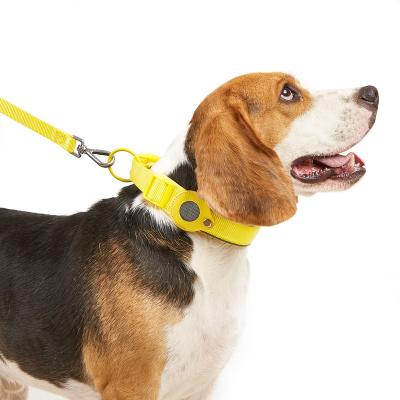 China 2022 DETACHED Newest Designer Pet Collar Pet Carrier Pet Leash for sale