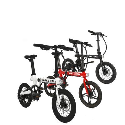 China 2020 Chinese Factory Wholesale Aluminum Alloy Smart Lightweight Foldable Electric Bicycle New For You for sale