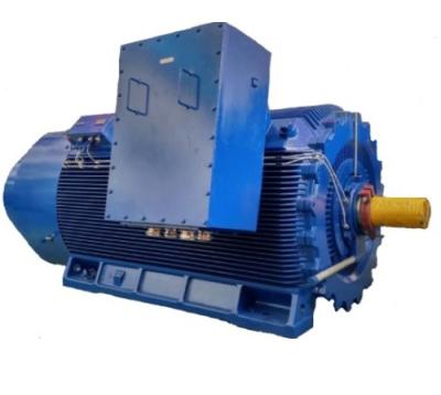 China YP IP55 Variable Frequency Speed ​​Regulating Three Phase Asynchronous Motor (400-560 Frame Size) for sale