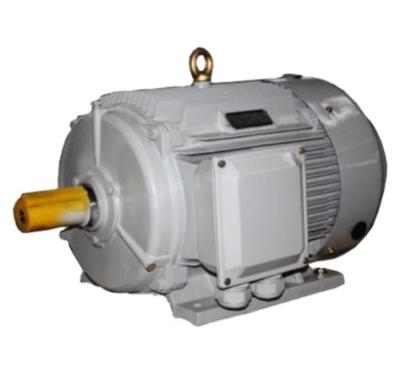 China IP55 Chinese Suppliers YE3 Series High Efficiency Three Phase Asynchronous Motor for sale