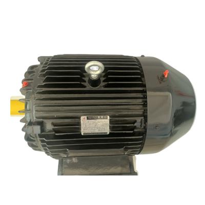 China Dustproof AC Induction Motor Three Phase Asynchronous Electric Explosion Proof Motor for sale