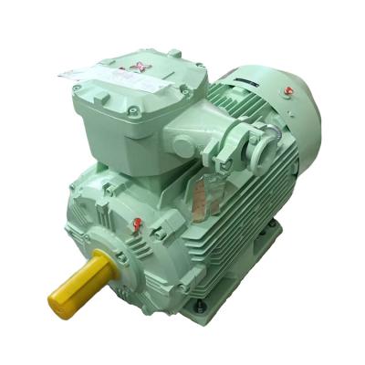 China AC Induction Motor Three Phase Asynchronous Electric Explosion Proof Motor for sale