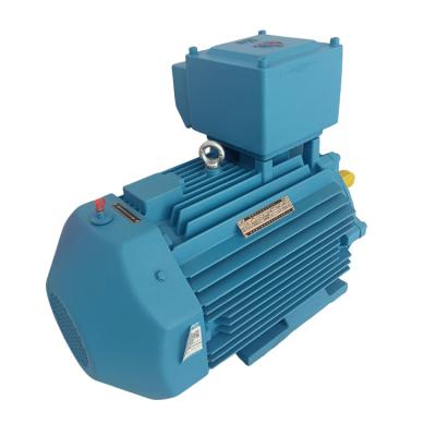 China Explosion Proof Durable Electric Dust Protection Ip55 Degree High Efficiency AC 3 Phase Induction Motor for sale