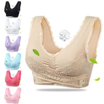 China QUICK DRY ready to ship plus size fitness sports bra sports bra plus size side closure fashionable underwear for sale