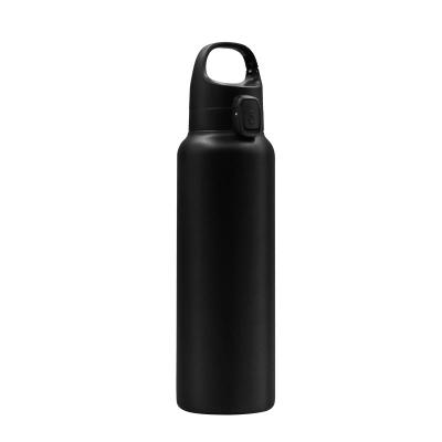 China Sustainable 600ml Double Walled Vacuum Insulated Thermos Stainless Steel Leakproof Double Walled Vacuum Insulated Water Bottle for sale