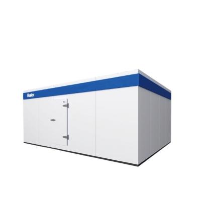 China Solar PV Module Haier Split Type Vaccine Energy High Accuracy Power Storage Medical Cold Room 2~8 Degree for sale