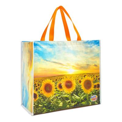 China Custom Cooler Bag PP Woven Cooler Shopping Bag Waterproof Cooler Dry Bag Promotional Eco Friendly Lunch for sale