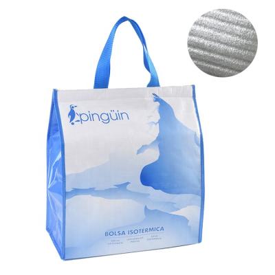 China Waterproof Cooler Bag Tote Lunch Thermal Insulated Food White Cooler Bags Clear PP Woven Cooler Bag for sale