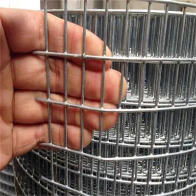 China Factory Wholesale Price High Quality 1x1 Plain Weave Galvanized Wire Mesh Welded 1x1wire Mesh Net / Welded Wire Mesh Prices for sale