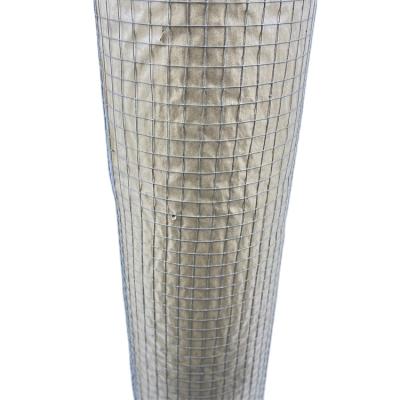 China Plain Weave 1/2 X 1/2 PVC Coated Welded Wire Mesh For Sale for sale