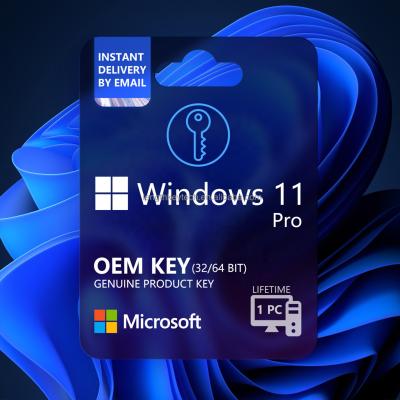 China 24/7 Windows 11 Pro OEM Online Instant Key Online Activation Genuine Original Email Digital License Windows 10 Lifetime for sale