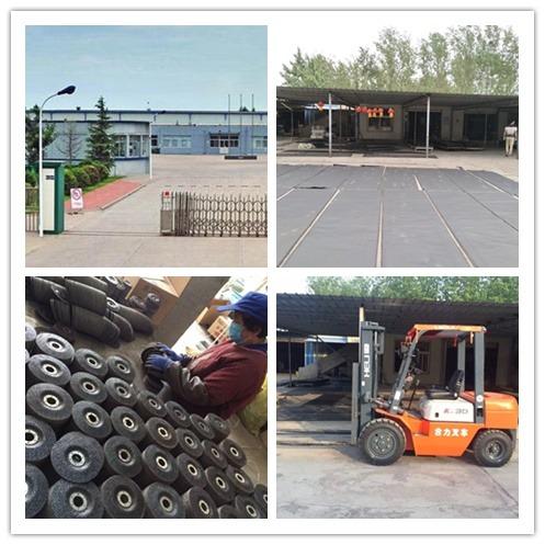 Verified China supplier - Zhengzhou Dingjia Industry Trade Co., Ltd.