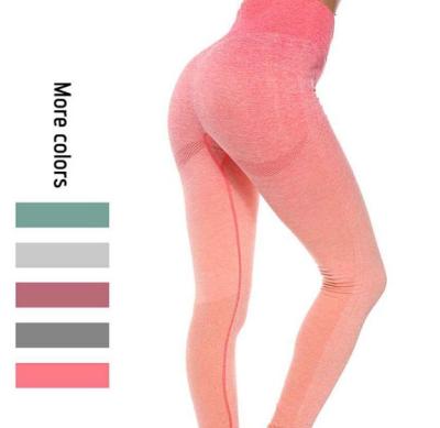 China Breathable High Waist Hips Body Tight Fitness Exercise Nylon Yoga Pants Nylon Compression Sports Bottom Socks for sale