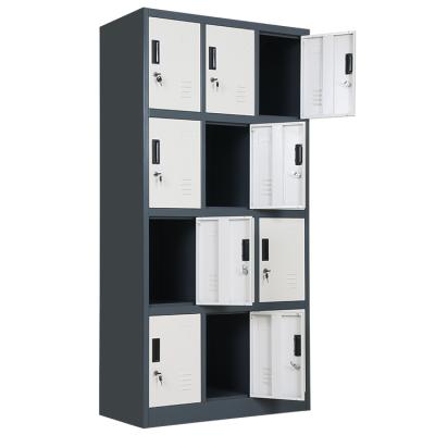 China Eco-friendly Support OEM ODM Waterproof Fireproof Moisture-proof Gymnasium School Use 12 Doors Clothing Storage Cabinet Steel Locker for sale