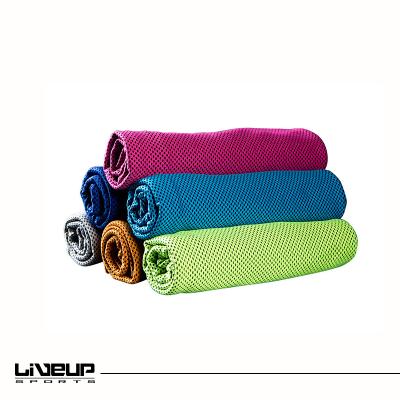 China Wholesale Universal Rectangular Quick Dry Microfiber Sports Towel Gym Towel Cooling Ice Bottle For Sports Gym Tower for sale