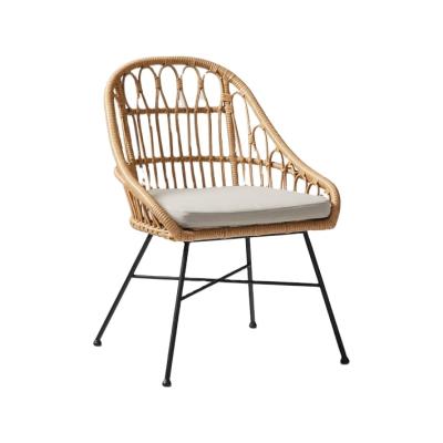 China K/D Design TW8884 Outdoor Metal PE Rattan Chair Wicker Furniture Furniture Chair Dining Chair for sale