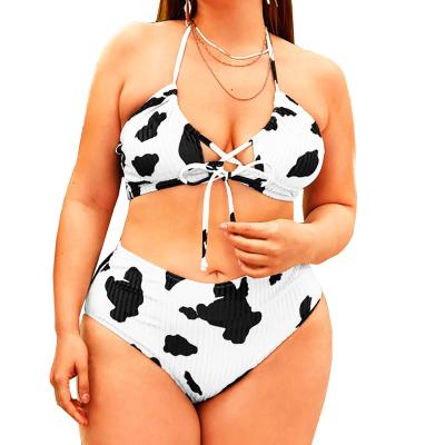 China Factory price plus size cow print sexy plus size xxx plus size swimwear suit black white backless set for sale