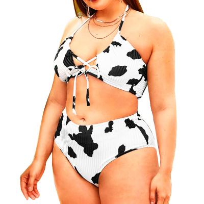 China Plus Size Plus Size Sexy Girl Extreme Mini Micro Thong Bikini Set Swimwear Beachwear for sale